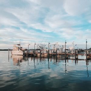 Meet your Posher, Ingrid